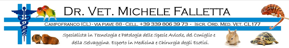 Dott. Vet. Michele Falletta