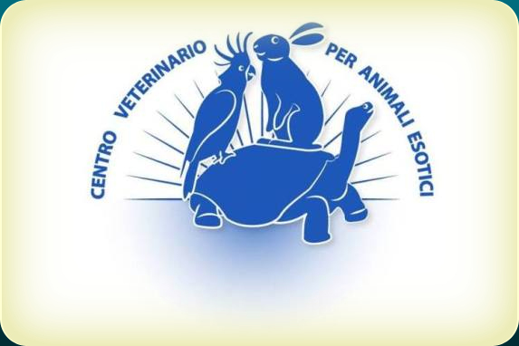 Sono diventato il 4° Socio Proprietario del Centro Veterinario Per Animali Esotici di Palermo